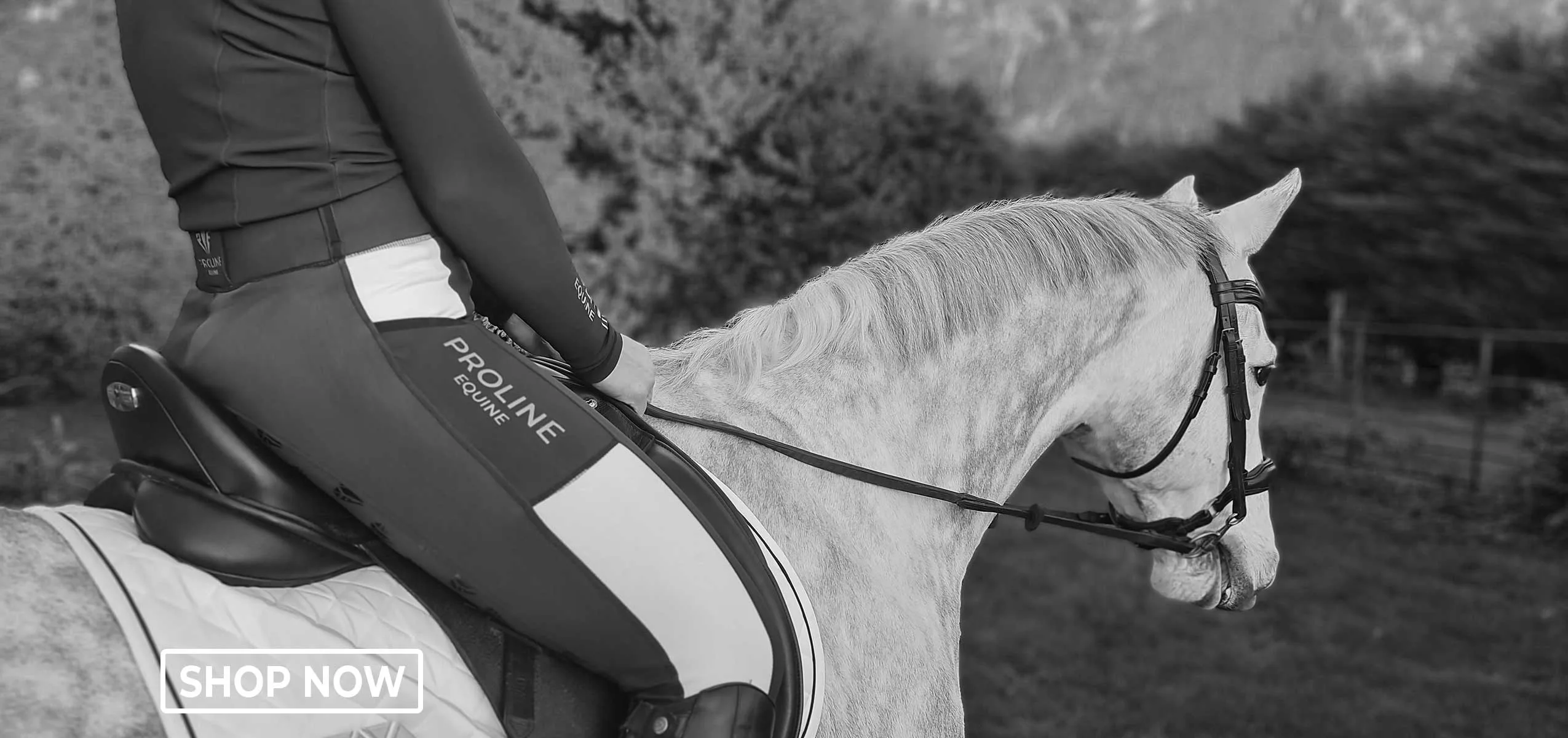 Proline Equine - Riding Leggings