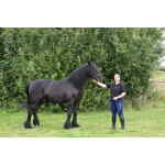 Freedom Polo Top - Black Image